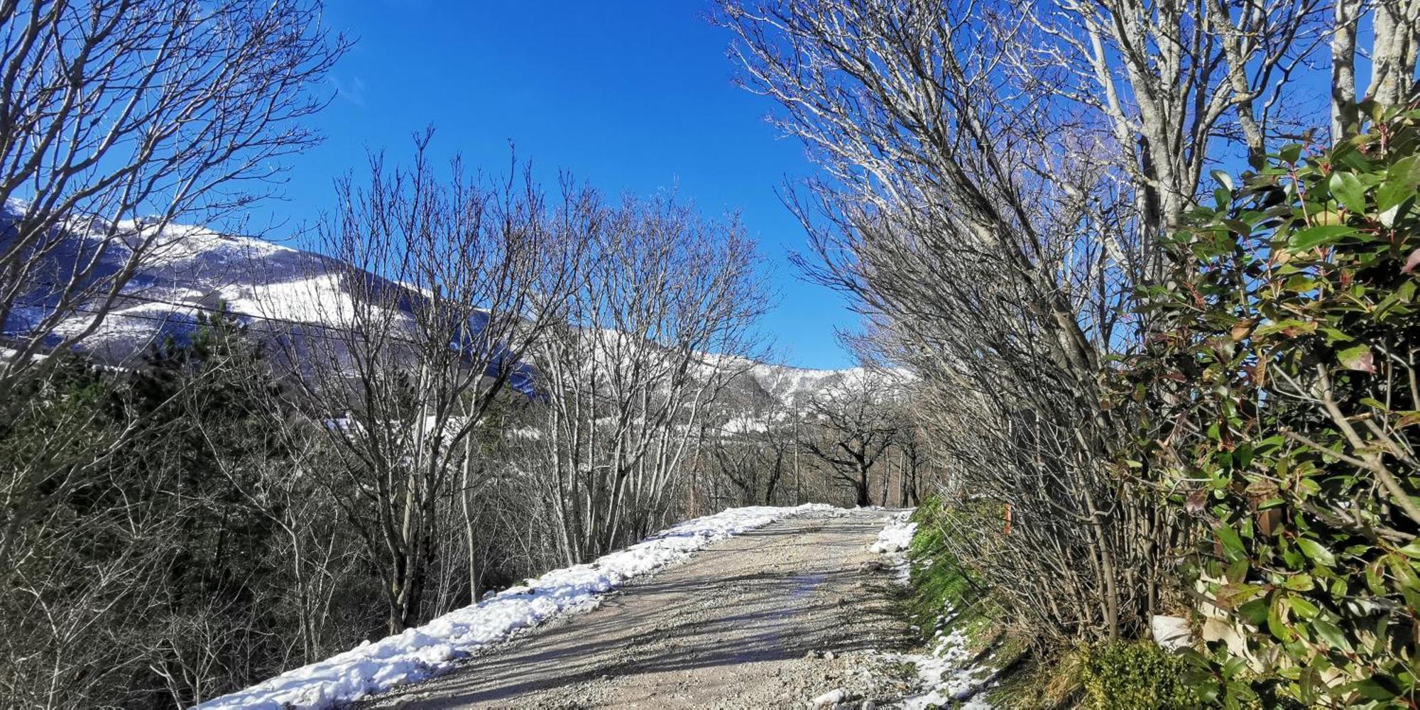 La Casetta Di Gino E Marcella Sassoferrato Esterno foto
