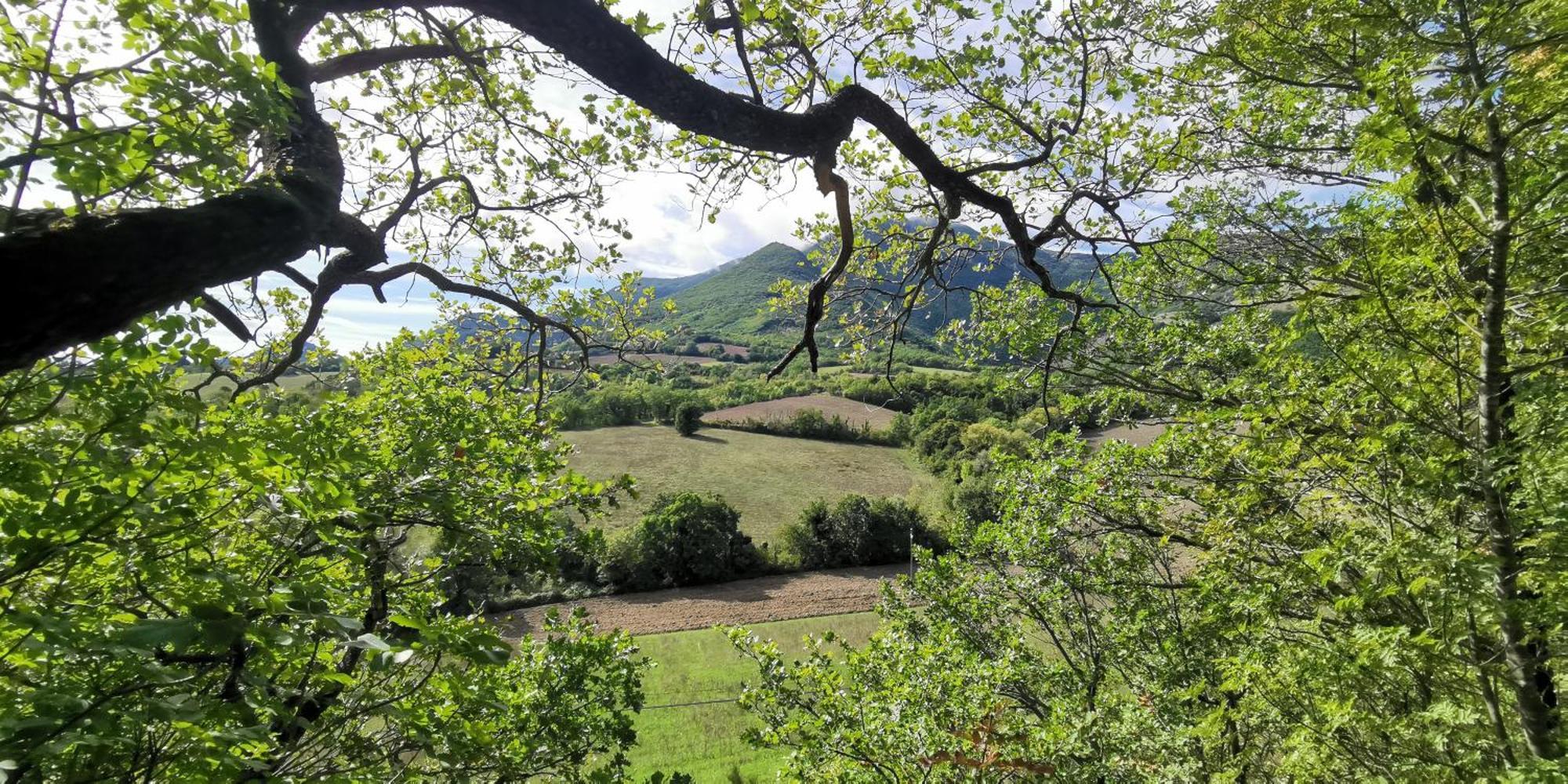 La Casetta Di Gino E Marcella Sassoferrato Esterno foto