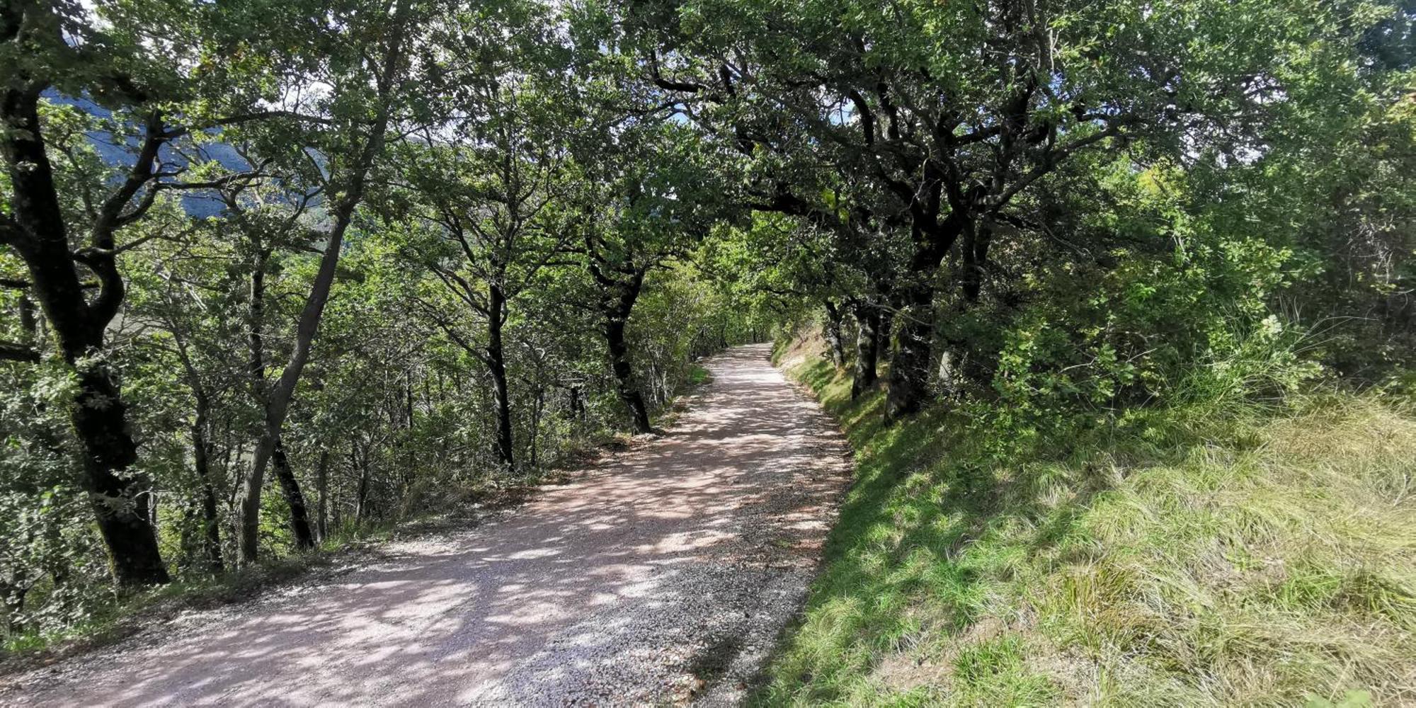 La Casetta Di Gino E Marcella Sassoferrato Esterno foto